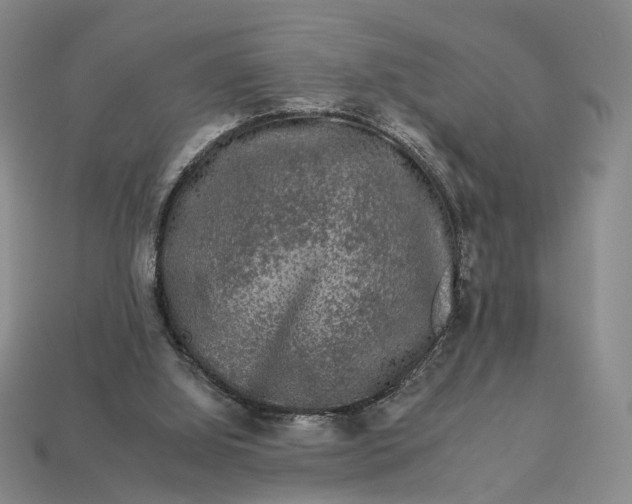 X0000112930060200909141342