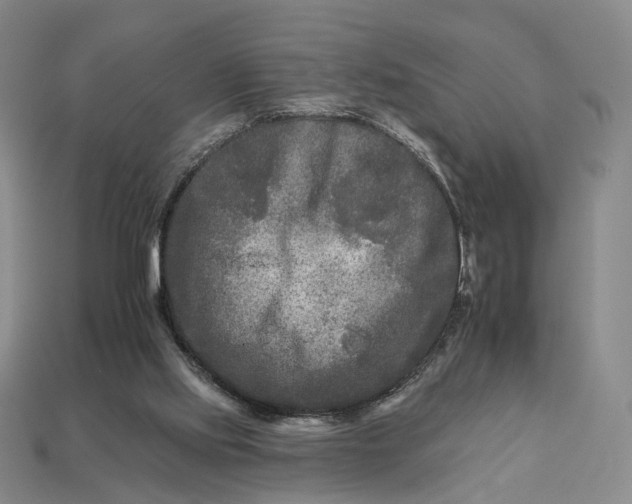 X0000112930061200909141342