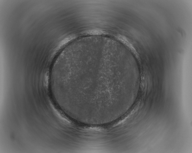 X0000112930063200909141342