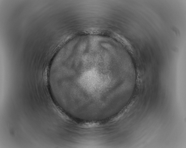 X0000112930065200909141342