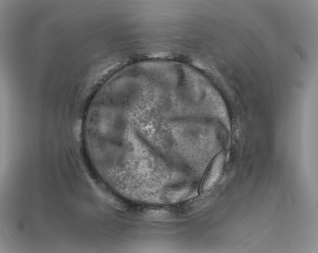 X0000112930066200909141342