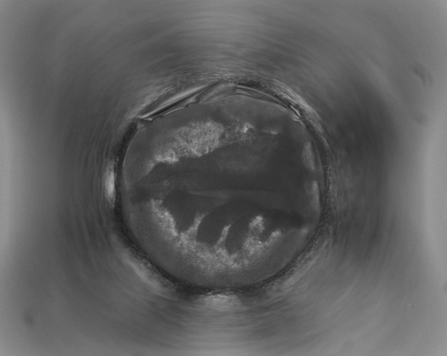 X0000112930067200909141342