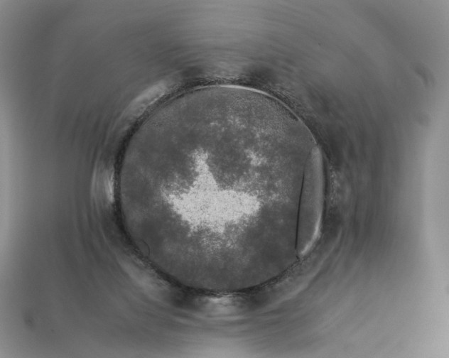 X0000112930068200909141342
