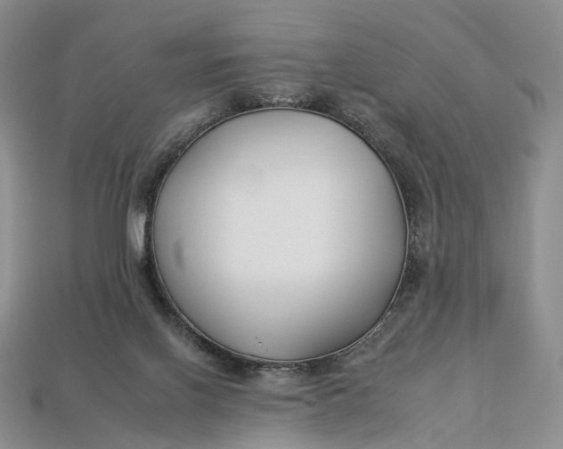 X0000112930070200909141342