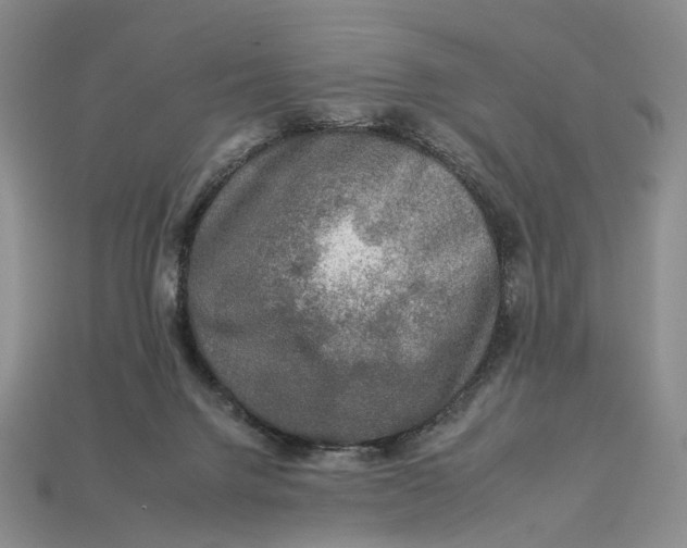 X0000112930072200909141342