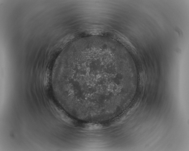 X0000112930073200909141342