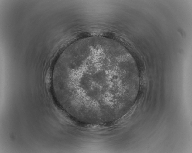 X0000112930074200909141342