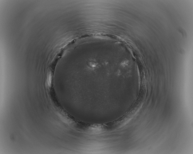 X0000112930076200909141342