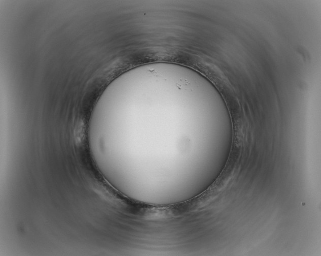 X0000112930077200909141342
