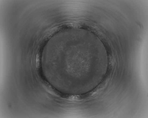 X0000112930080200909141342