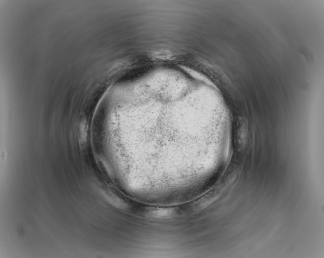 X0000112930081200909141342