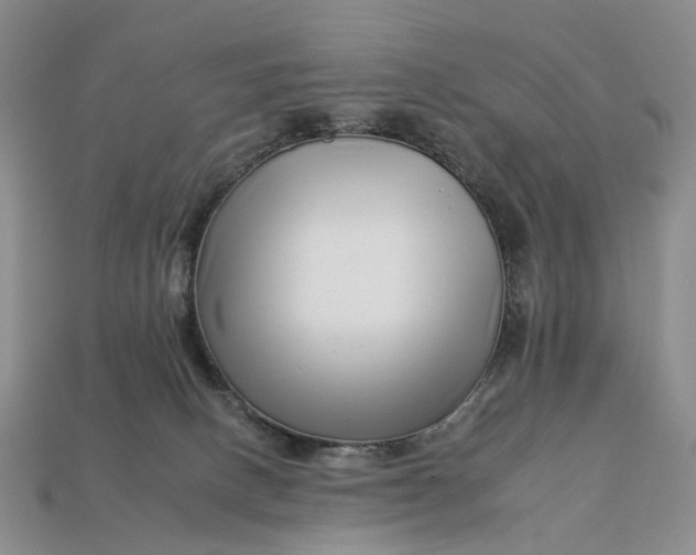 X0000112930082200909141342