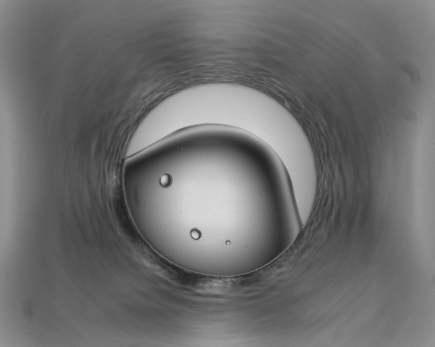 X0000112930084200909141342