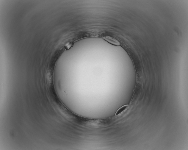 X0000112930086200909141342