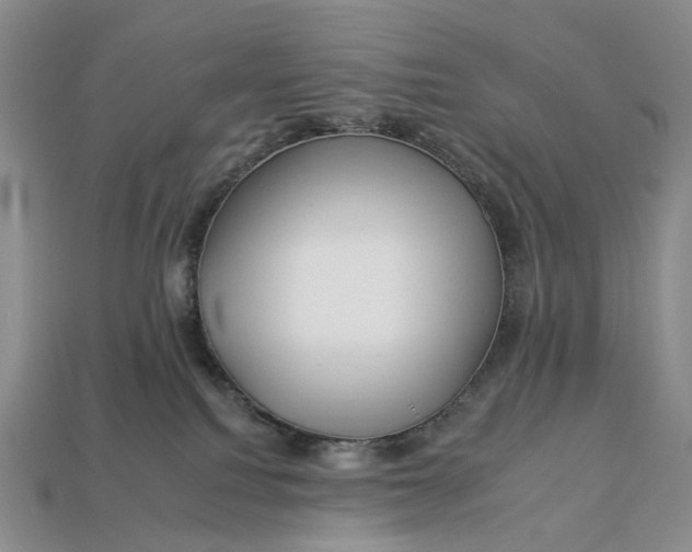 X0000112930088200909141342