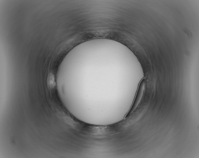 X0000112930089200909141342