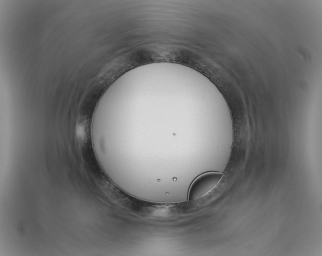 X0000112930090200909141342