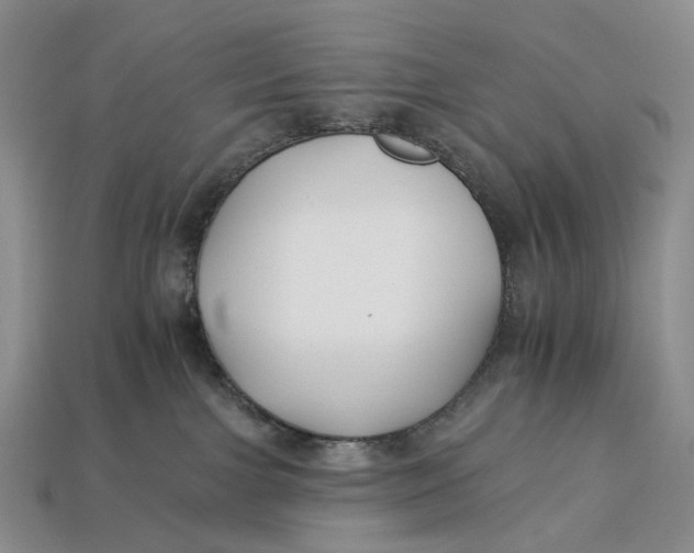 X0000112930091200909141342