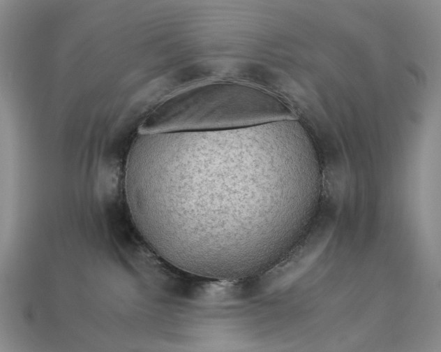 X0000112930092200909141342