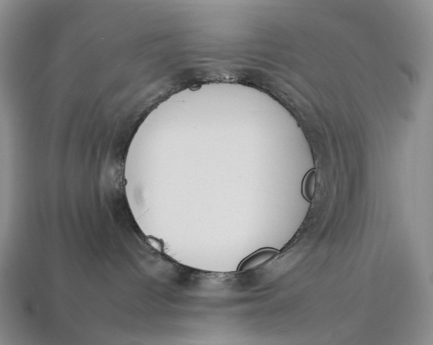 X0000112930096200909141342