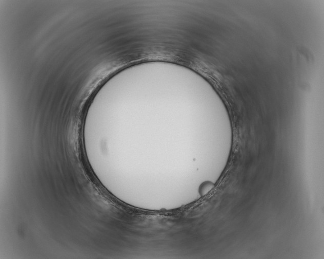 X0000112930098200909141341