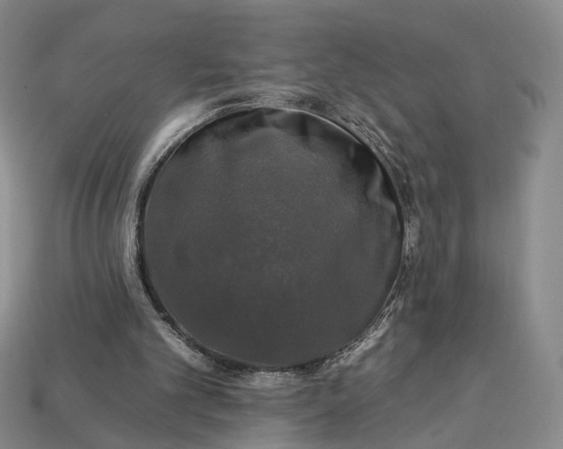 X0000112930101200909141341
