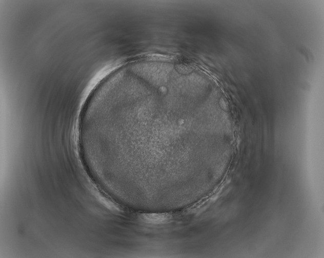 X0000112930102200909141341