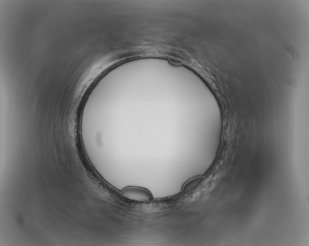 X0000112930103200909141341