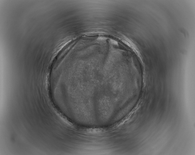 X0000112930105200909141341