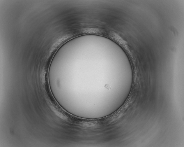 X0000112930106200909141341