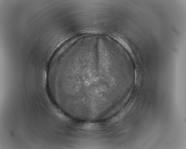 X0000112930109200909141341