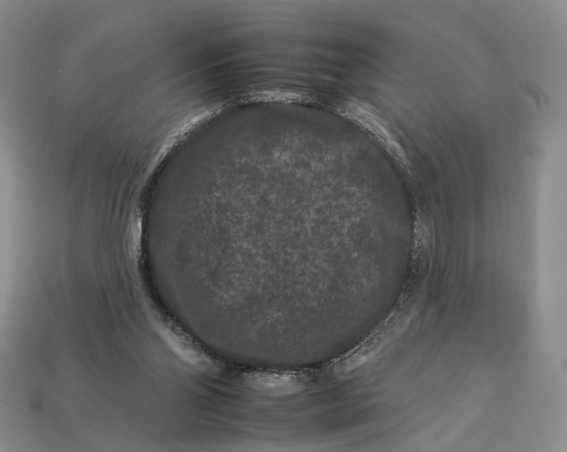 X0000112930110200909141341