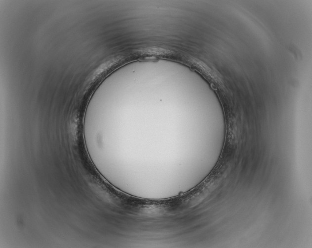 X0000112930111200909141341