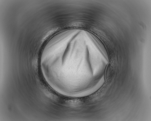 X0000112930112200909141341