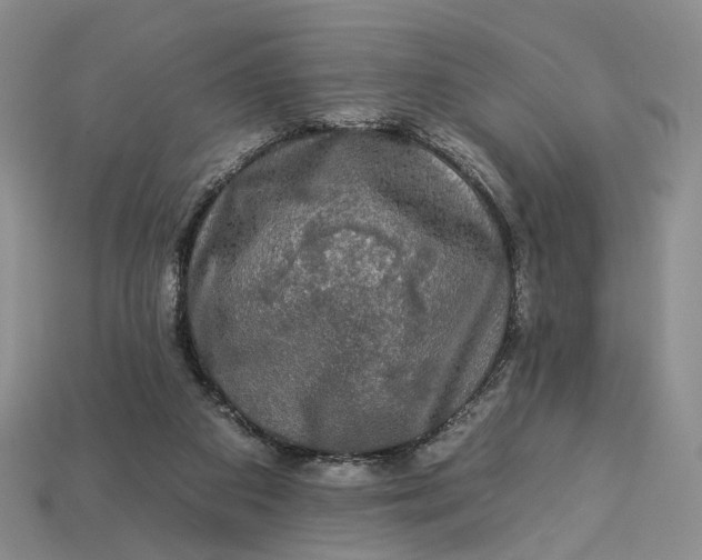 X0000112930113200909141341