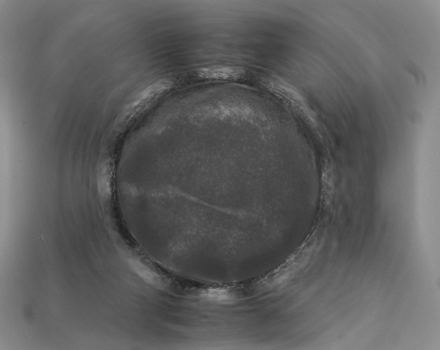 X0000112930114200909141341