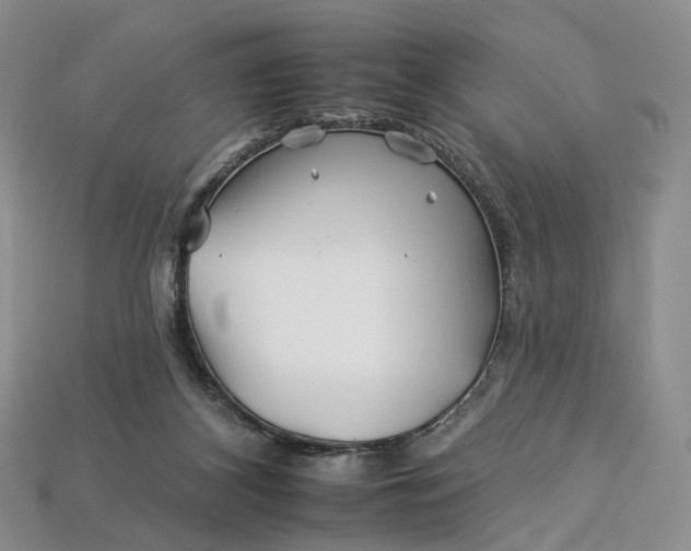X0000112930116200909141341