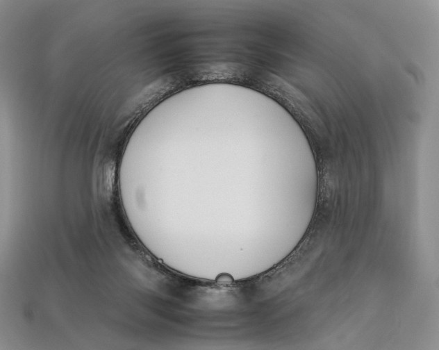 X0000112930118200909141341