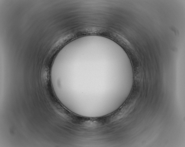 X0000112930119200909141341