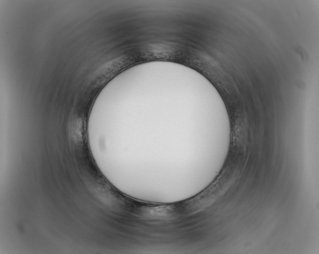 X0000112930122200909141341