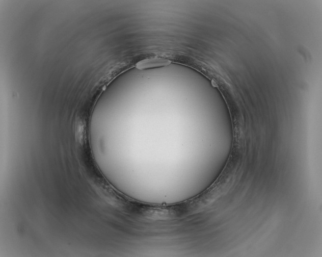 X0000112930123200909141341