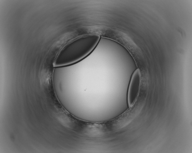 X0000112930125200909141341