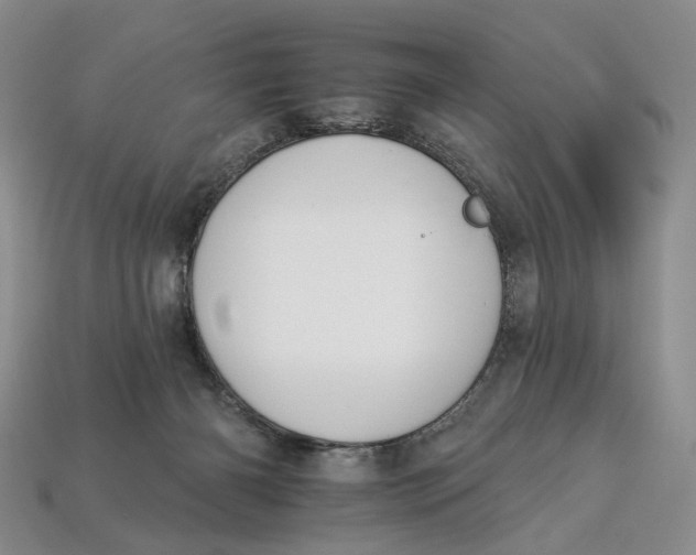 X0000112930126200909141341