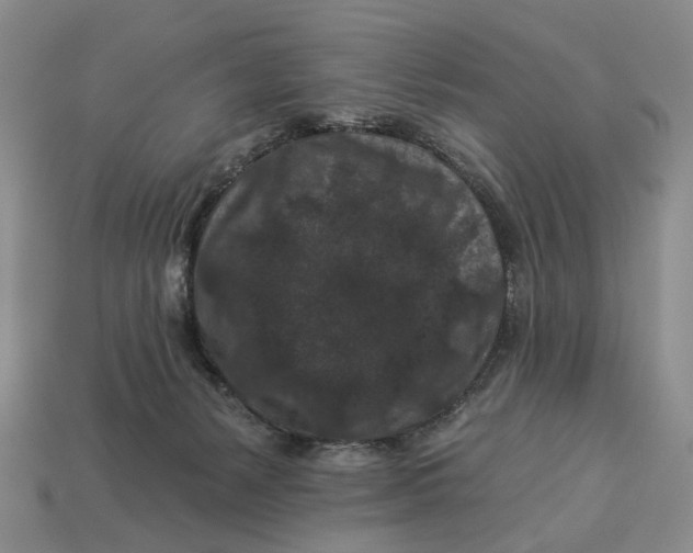 X0000112930127200909141341