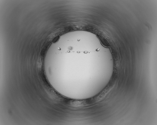 X0000112930129200909141341