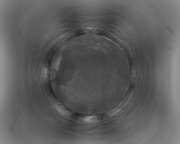 X0000112930130200909141341