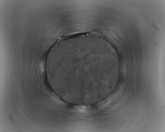 X0000112930131200909141341