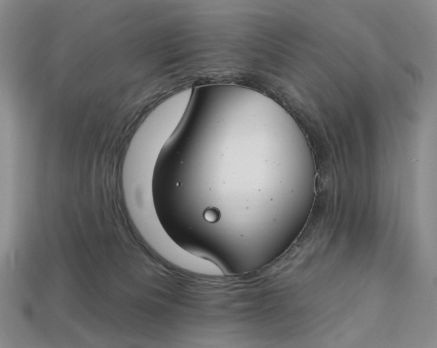 X0000112930133200909141341