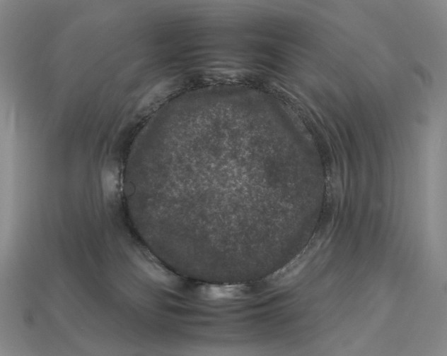X0000112930134200909141341