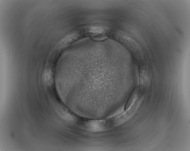X0000112930136200909141341